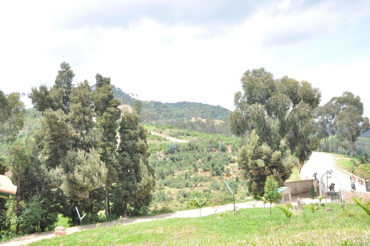 Nyungwe Nziza Ecolodge Kitabi Extérieur photo